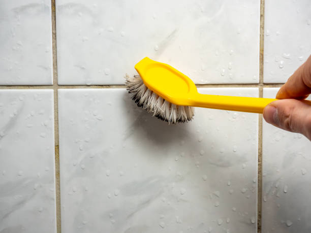 Best Mold Remediation for Schools in Roberts, WI