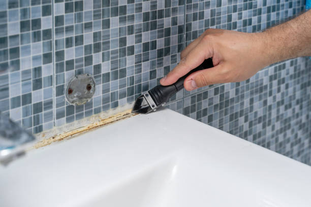 Best Commercial Mold Remediation in Roberts, WI