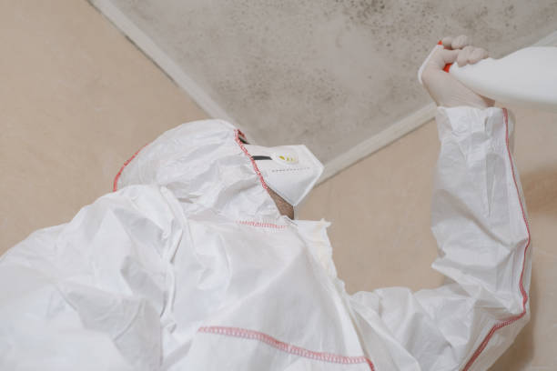 Best Health and Safety Mold Remediation in Roberts, WI